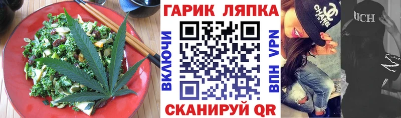 купить закладку  Устюжна  Cannafood конопля 