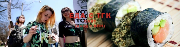 индика Михайловск