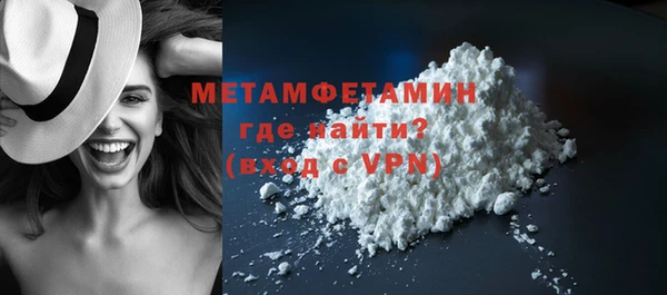 индика Михайловск
