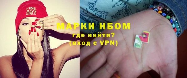 индика Михайловск