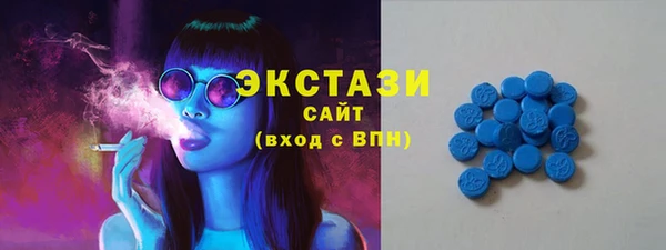 индика Михайловск