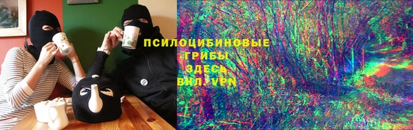 индика Михайловск