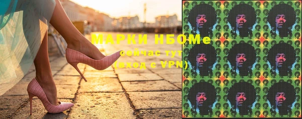 индика Михайловск