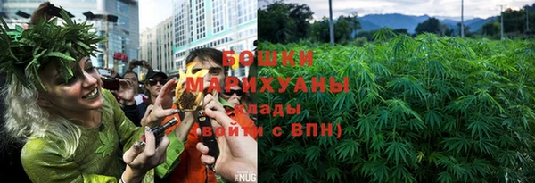 индика Михайловск