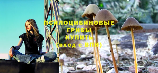 ешки Михайловка