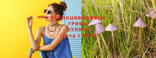 индика Михайловск