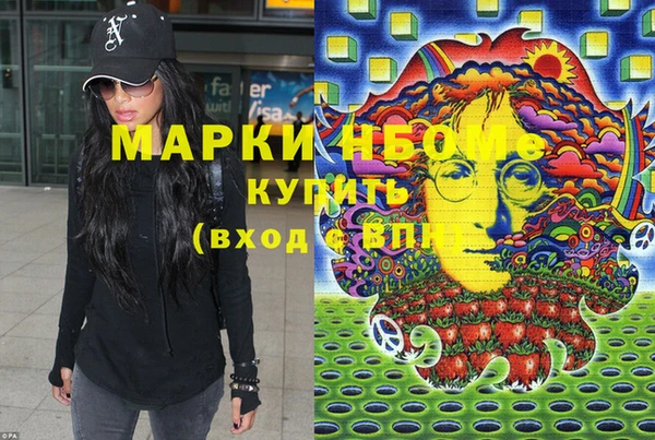 индика Михайловск