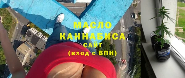 индика Михайловск