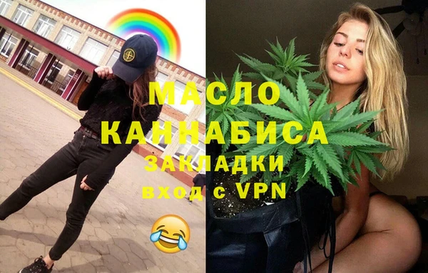 индика Михайловск